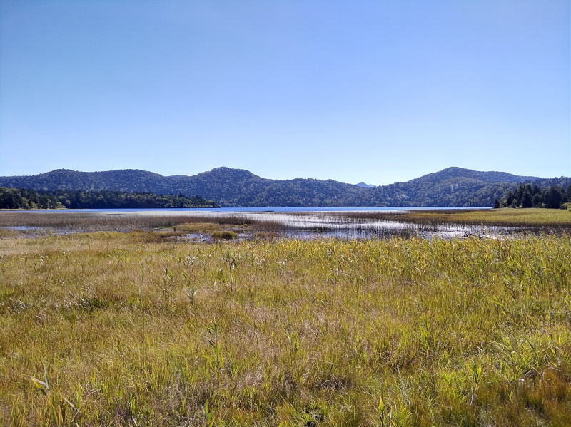 f:id:Aoituki:20210927000721j:plain