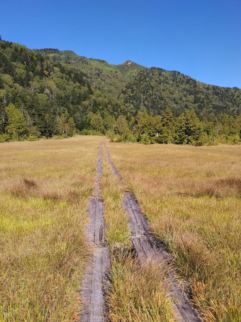 f:id:Aoituki:20210927000735j:plain