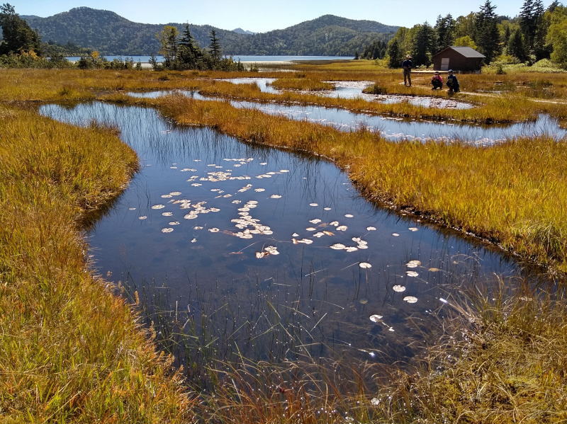 f:id:Aoituki:20210927000757j:plain