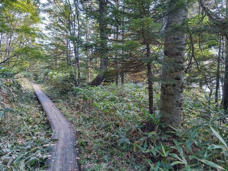 f:id:Aoituki:20210927000914j:plain