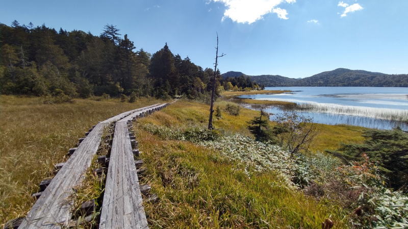 f:id:Aoituki:20210927000927j:plain