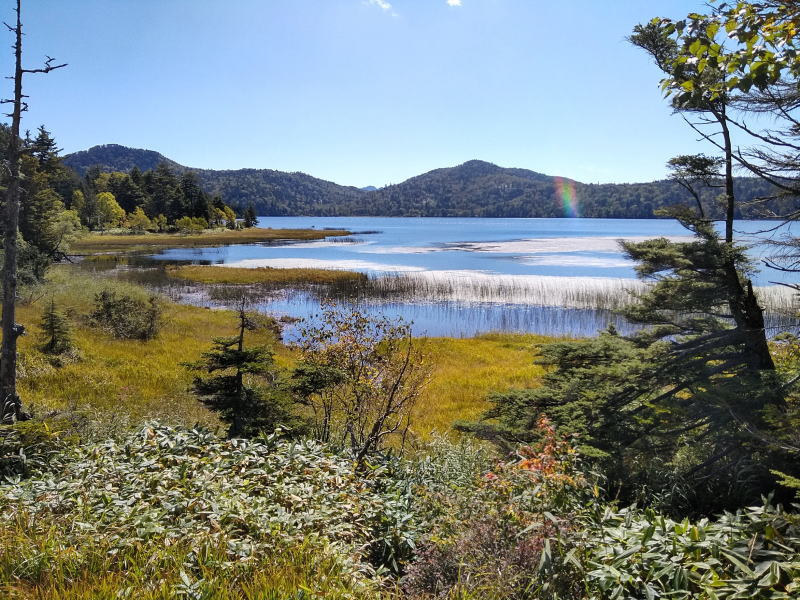 f:id:Aoituki:20210927000942j:plain