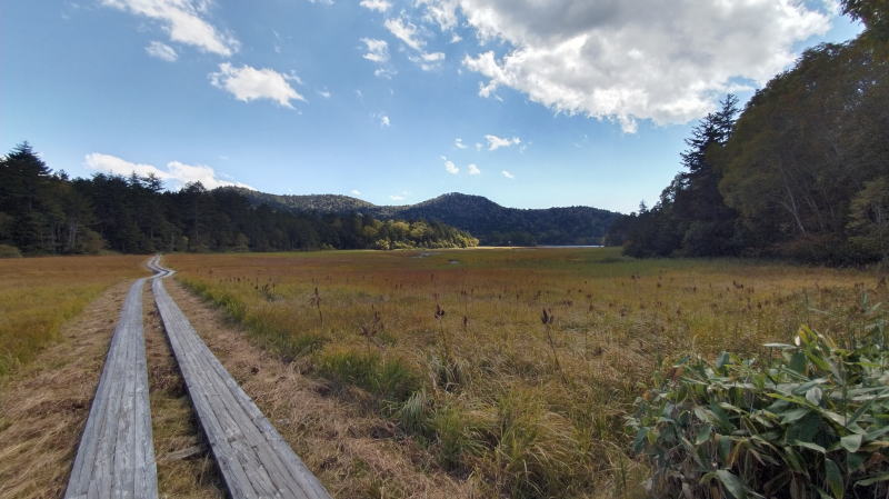 f:id:Aoituki:20210927000959j:plain