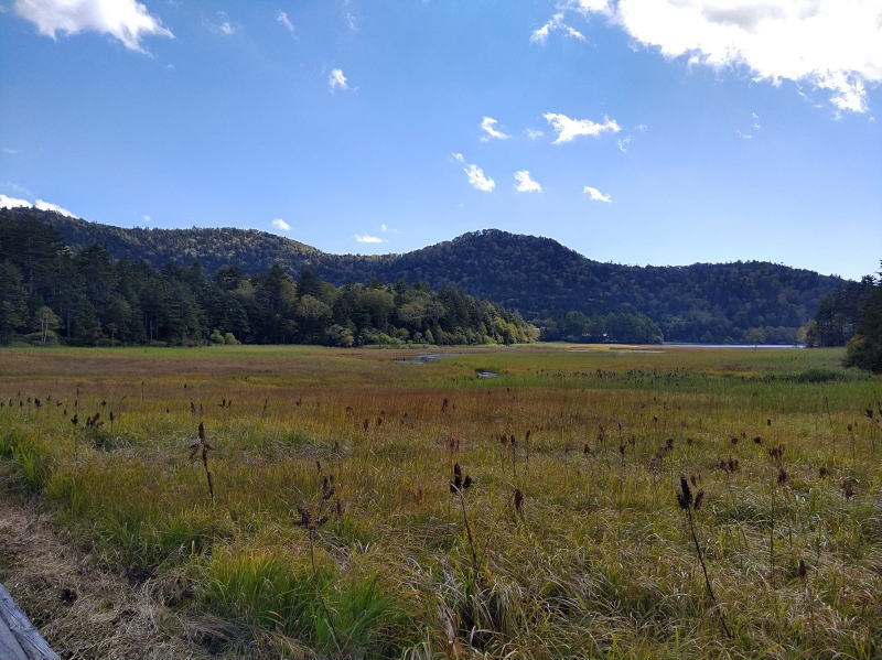 f:id:Aoituki:20210927001013j:plain