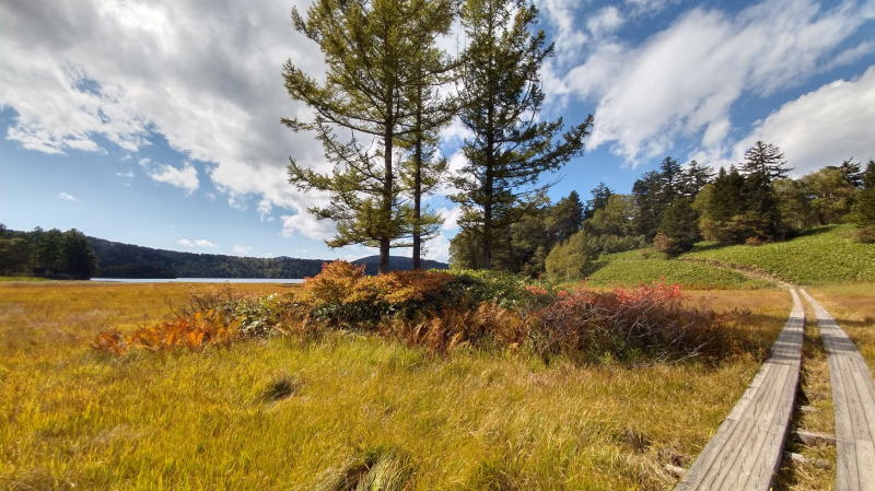 f:id:Aoituki:20210927001028j:plain