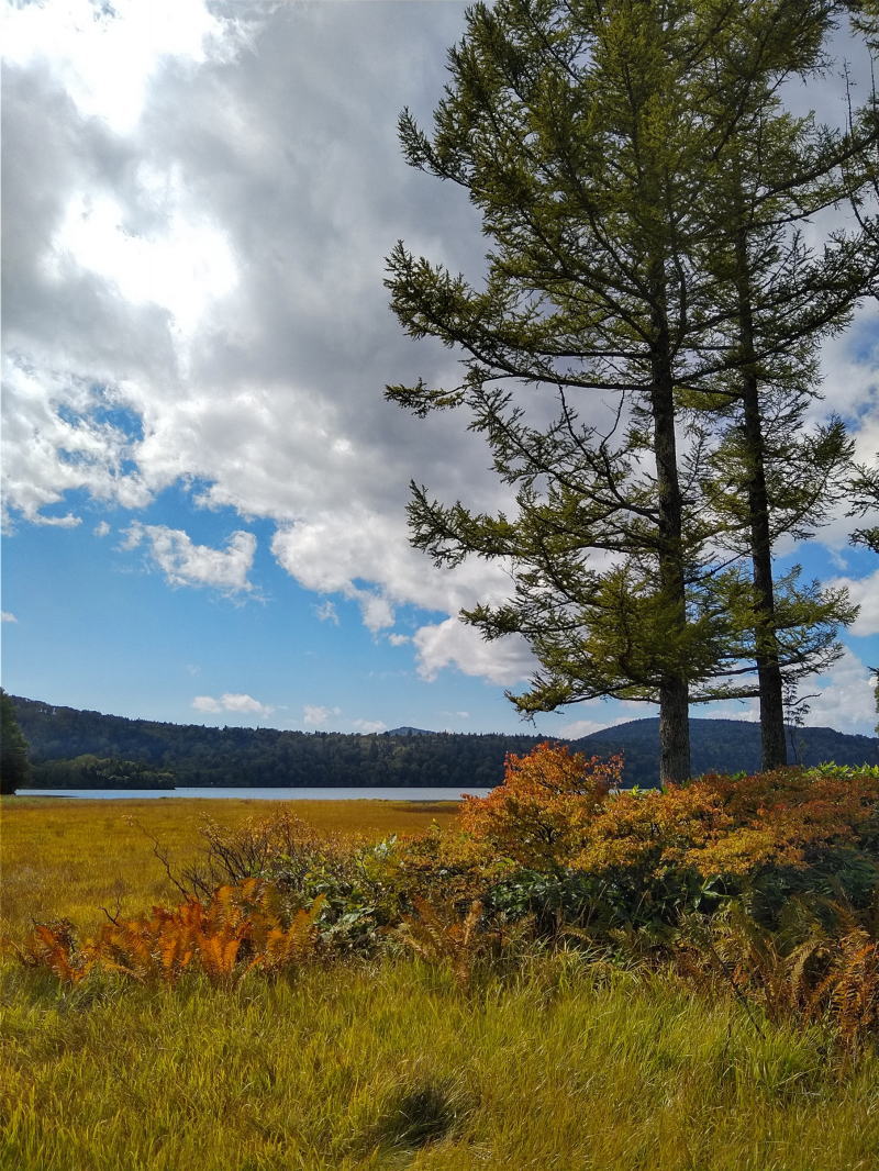 f:id:Aoituki:20210927001045j:plain