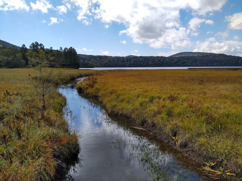 f:id:Aoituki:20210927001100j:plain