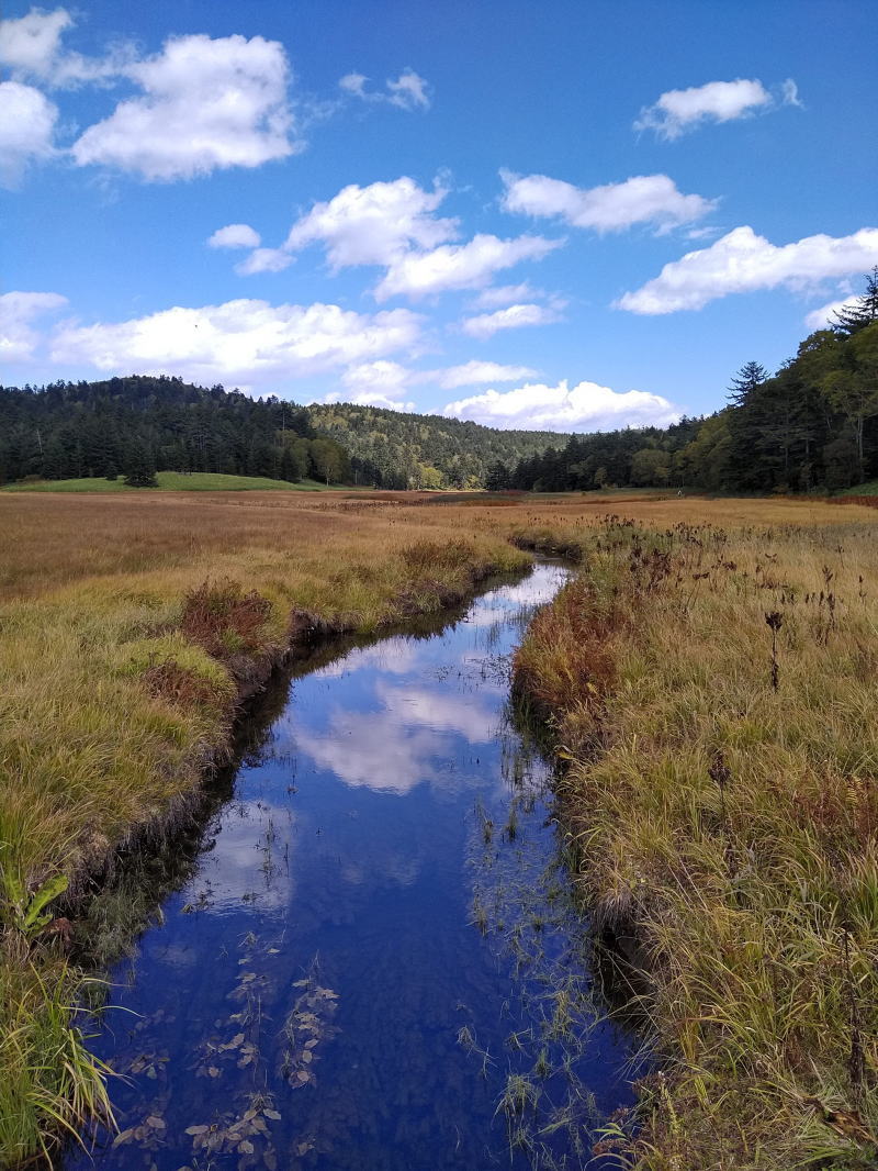 f:id:Aoituki:20210927001113j:plain