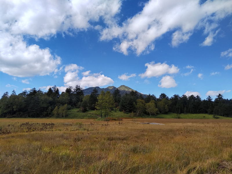 f:id:Aoituki:20210927001141j:plain