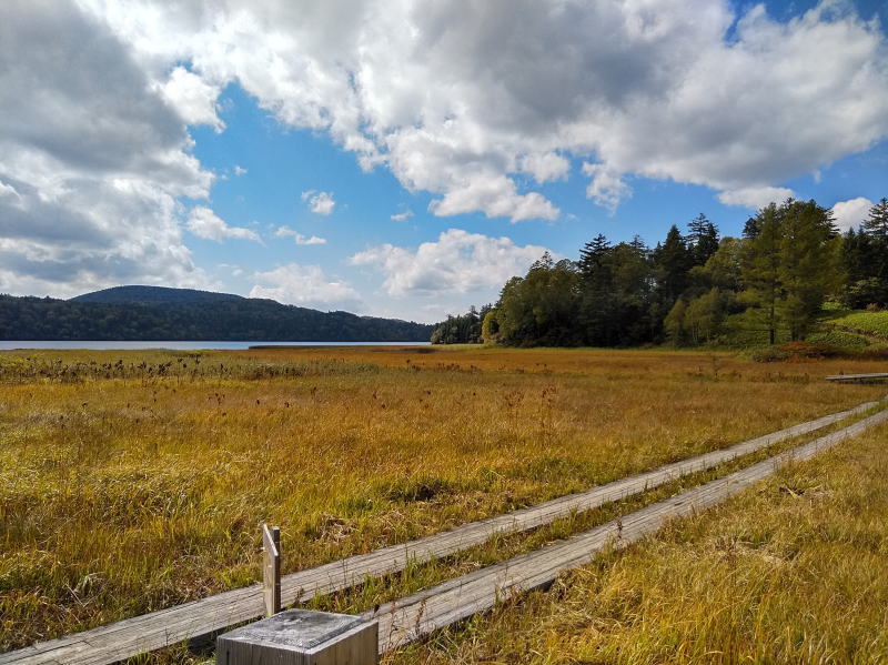 f:id:Aoituki:20210927001211j:plain