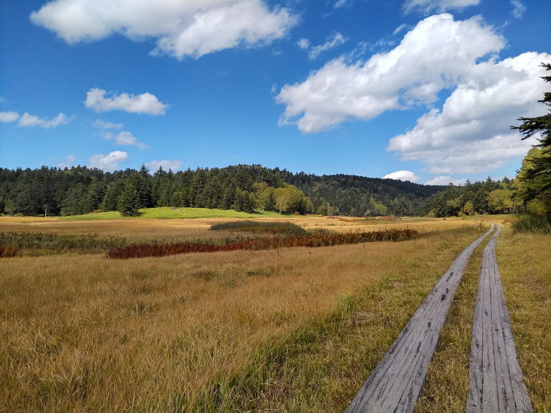 f:id:Aoituki:20210927001225j:plain