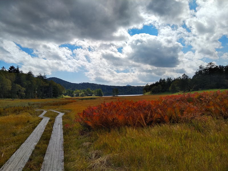 f:id:Aoituki:20210927001236j:plain