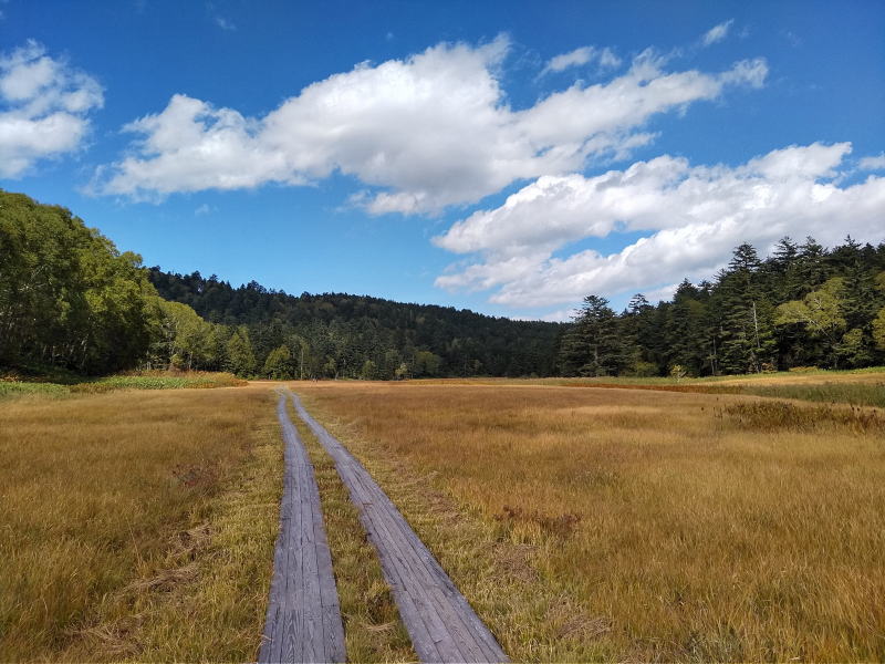 f:id:Aoituki:20210927001248j:plain