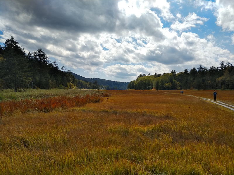 f:id:Aoituki:20210927001301j:plain