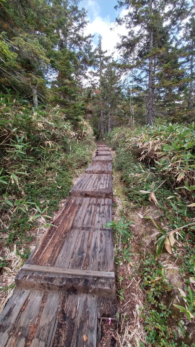 f:id:Aoituki:20210927001324j:plain