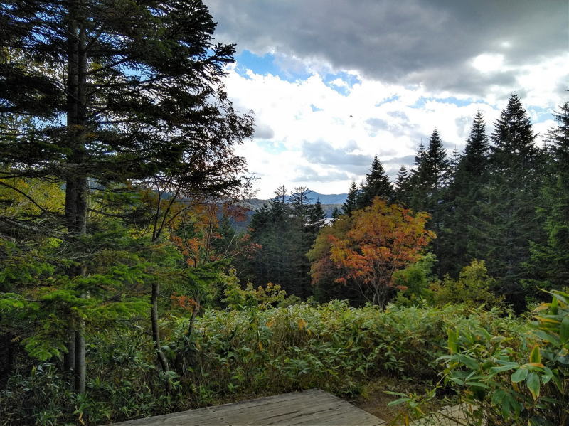 f:id:Aoituki:20210927001345j:plain