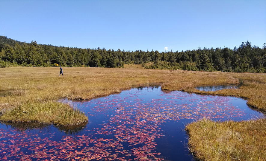 f:id:Aoituki:20211001223642j:plain