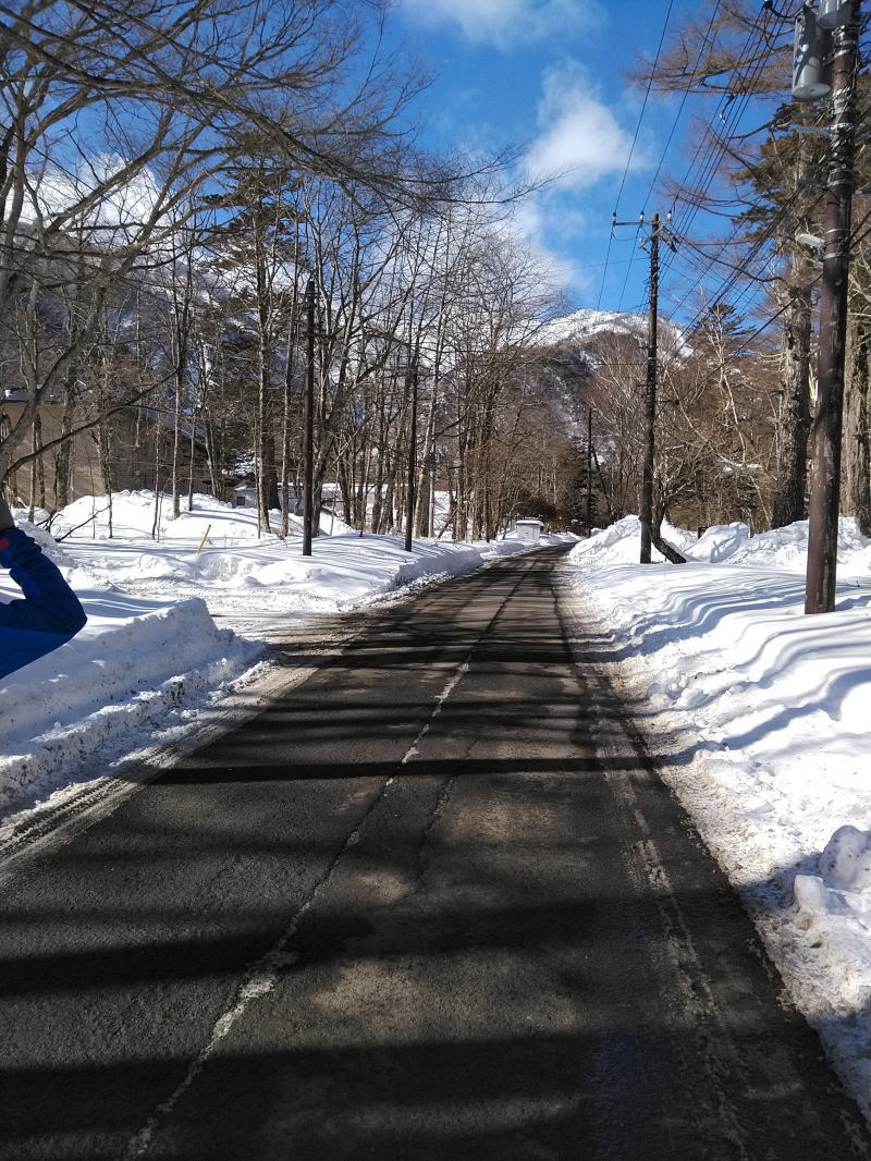 f:id:Aoituki:20220130143342j:plain