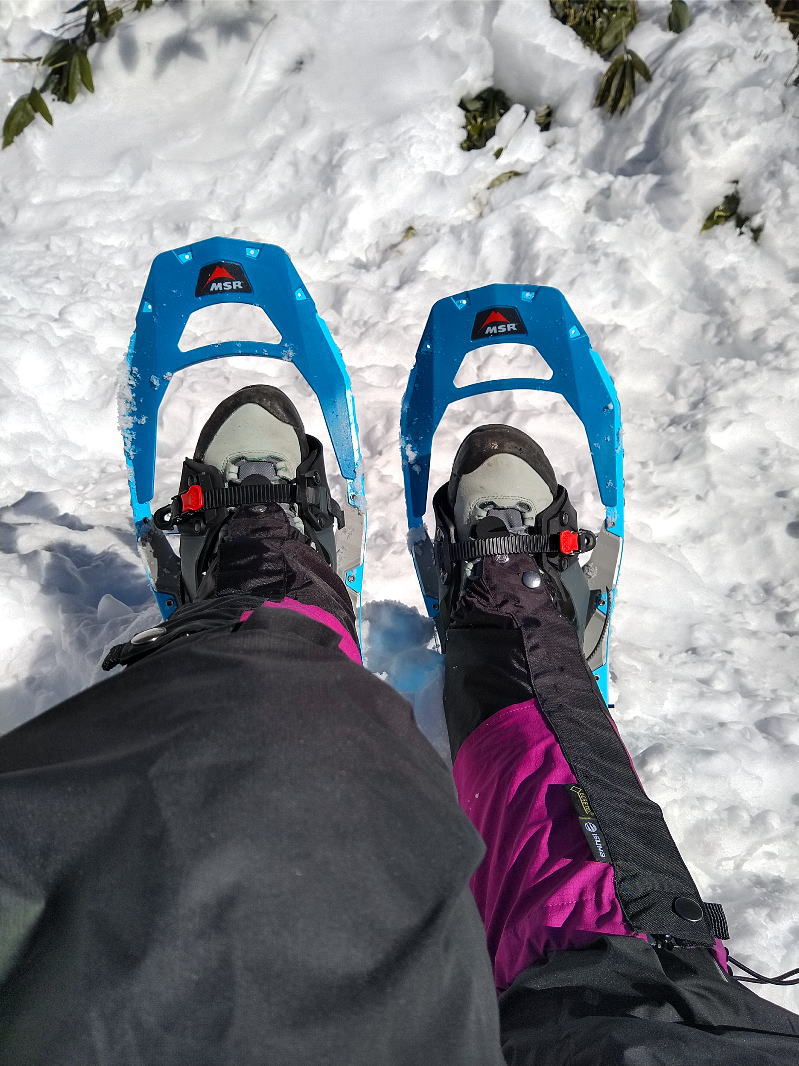 f:id:Aoituki:20220130143455j:plain