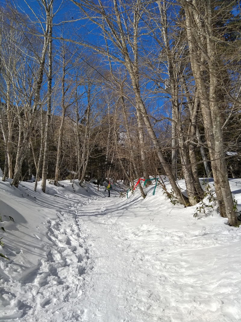 f:id:Aoituki:20220130143537j:plain