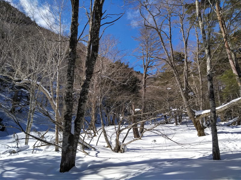 f:id:Aoituki:20220130143743j:plain