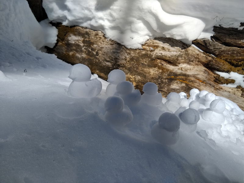 f:id:Aoituki:20220130143911j:plain