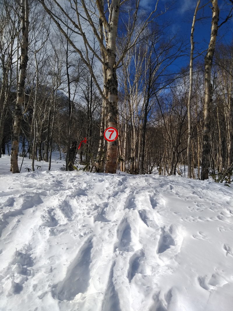 f:id:Aoituki:20220130144114j:plain