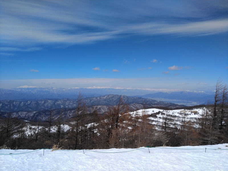 f:id:Aoituki:20220313165043j:plain