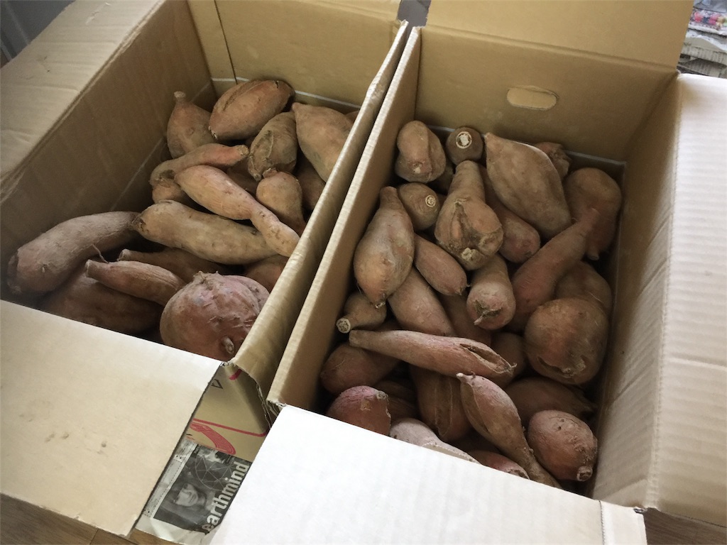 f:id:Aoiyume:20170530202134j:image f:id:Aoiyume:20170530202134j:image