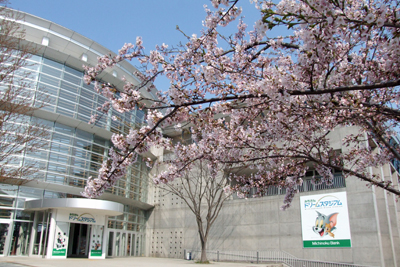 f:id:AomCC:20200325065228j:plain f:id:AomCC:20200325065228j:plain