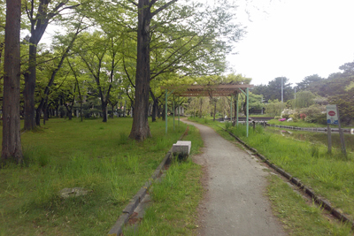 f:id:AomCC:20200517234509j:plain