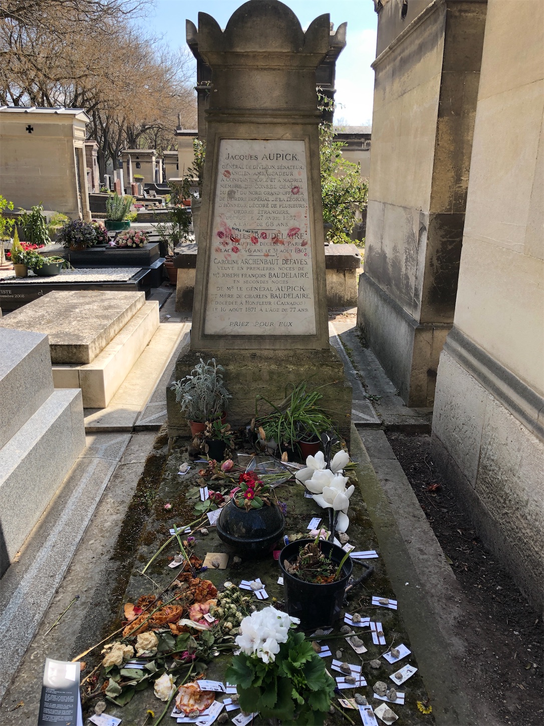 f:id:AonekoVerlaine:20230409054402j:image f:id:AonekoVerlaine:20230409054402j:image