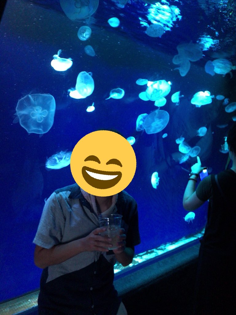 f:id:Aonorinori:20180806083817j:plain f:id:Aonorinori:20180806083817j:plain