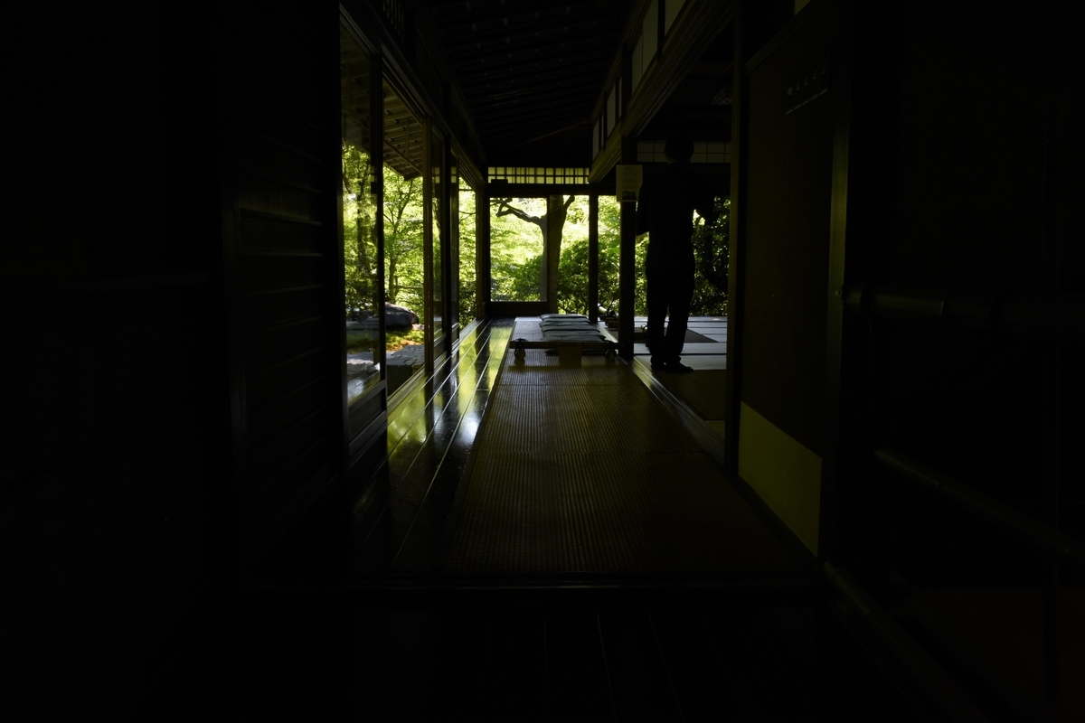 f:id:Aoto_tx1133:20190708120426j:plain f:id:Aoto_tx1133:20190708120426j:plain
