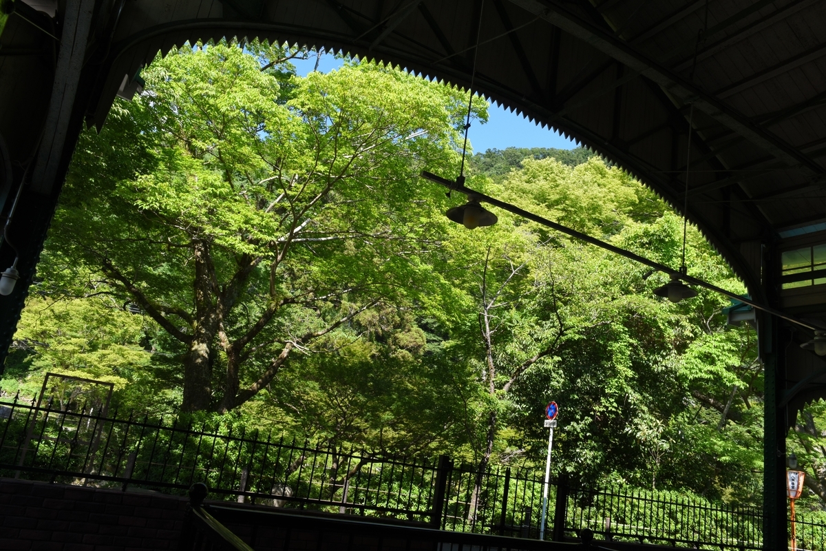 f:id:Aoto_tx1133:20190708122735j:plain f:id:Aoto_tx1133:20190708122735j:plain