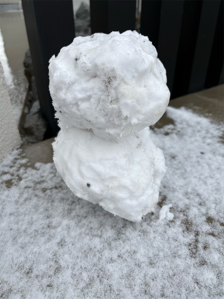 f:id:Aoyama0721:20260125184339j:image f:id:Aoyama0721:20260125184339j:image