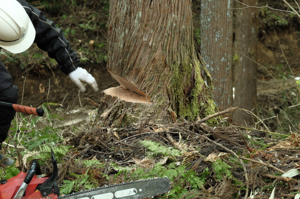 f:id:Aozora100:20180511190841j:plain