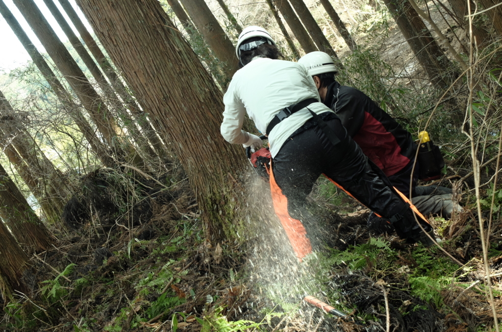 f:id:Aozora100:20180511190906j:plain