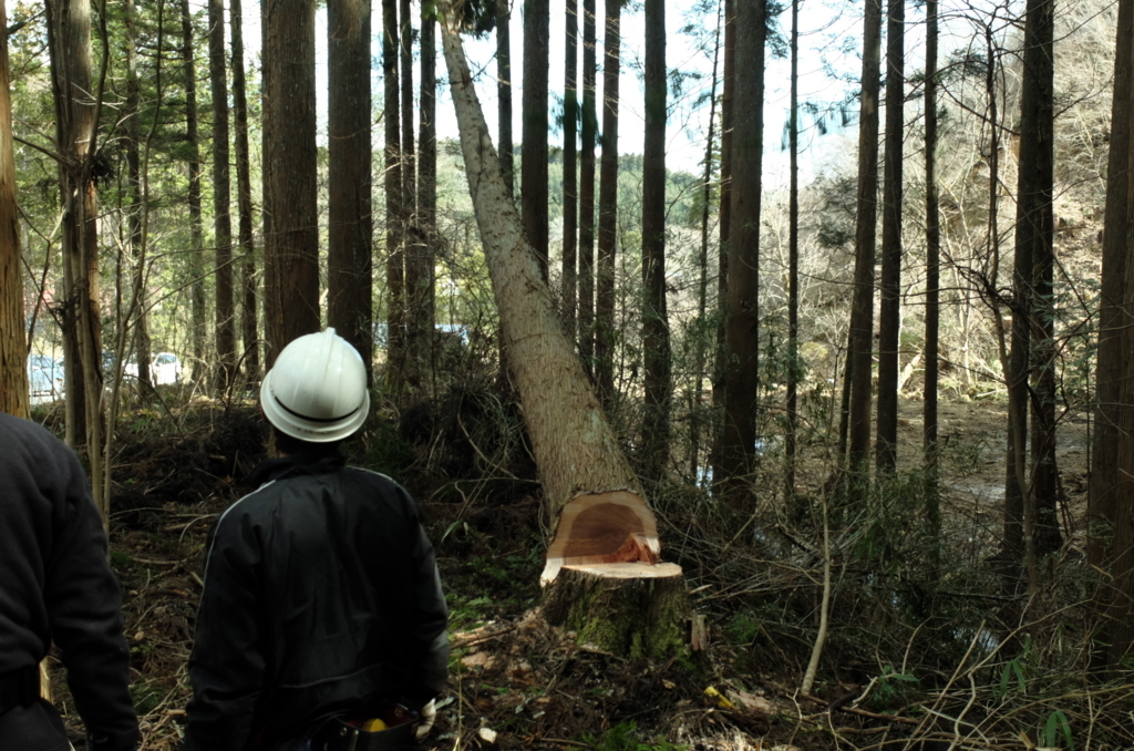 f:id:Aozora100:20180511190919j:plain