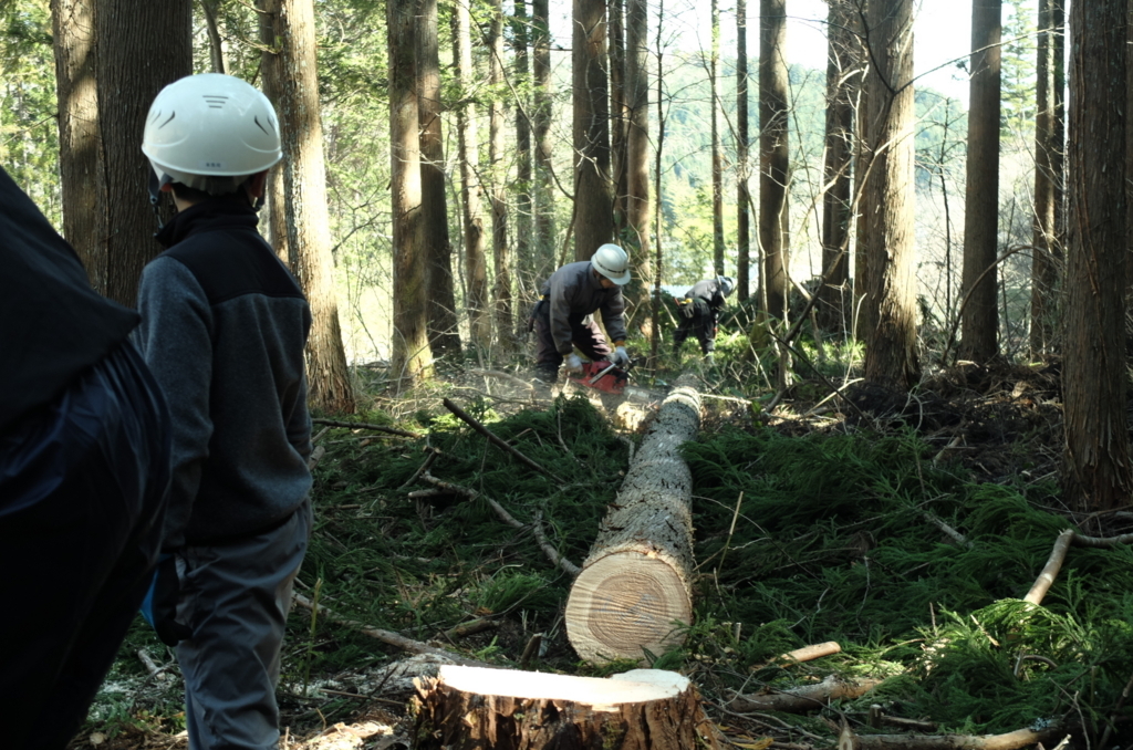 f:id:Aozora100:20180511191114j:plain