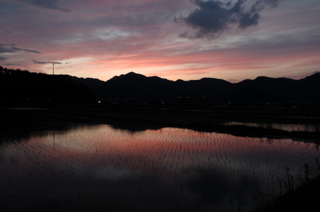 f:id:Aozora100:20180807104537j:plain f:id:Aozora100:20180807104537j:plain