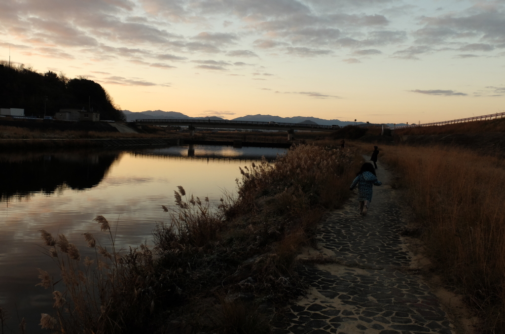 f:id:Aozora100:20190115154650j:plain f:id:Aozora100:20190115154650j:plain