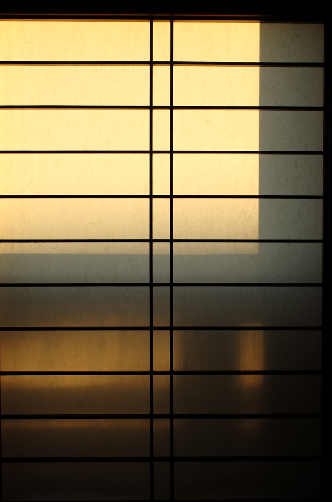 f:id:Aozora100:20190118221411j:plain