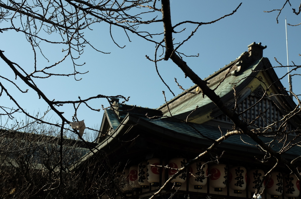 f:id:Aozora100:20190118221609j:plain