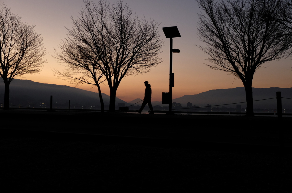 f:id:Aozora100:20190209111258j:plain f:id:Aozora100:20190209111258j:plain