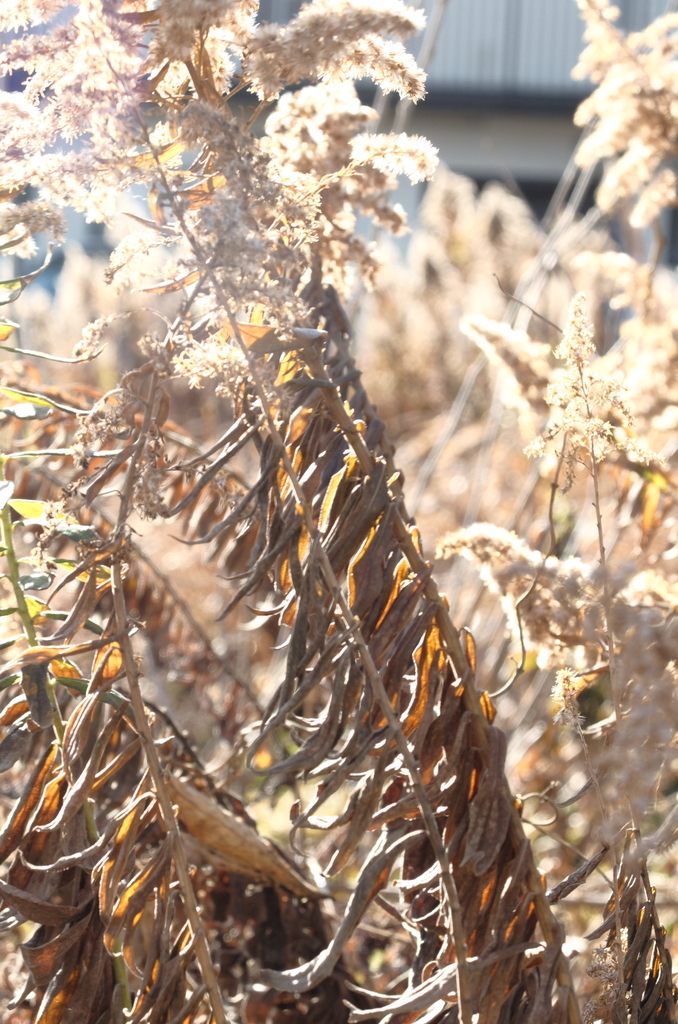 f:id:Aozora100:20190216212707j:plain f:id:Aozora100:20190216212707j:plain