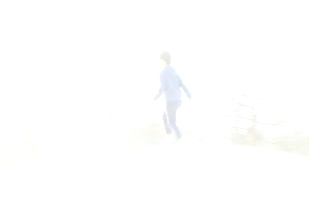 f:id:Aozora100:20190218210732j:plain f:id:Aozora100:20190218210732j:plain