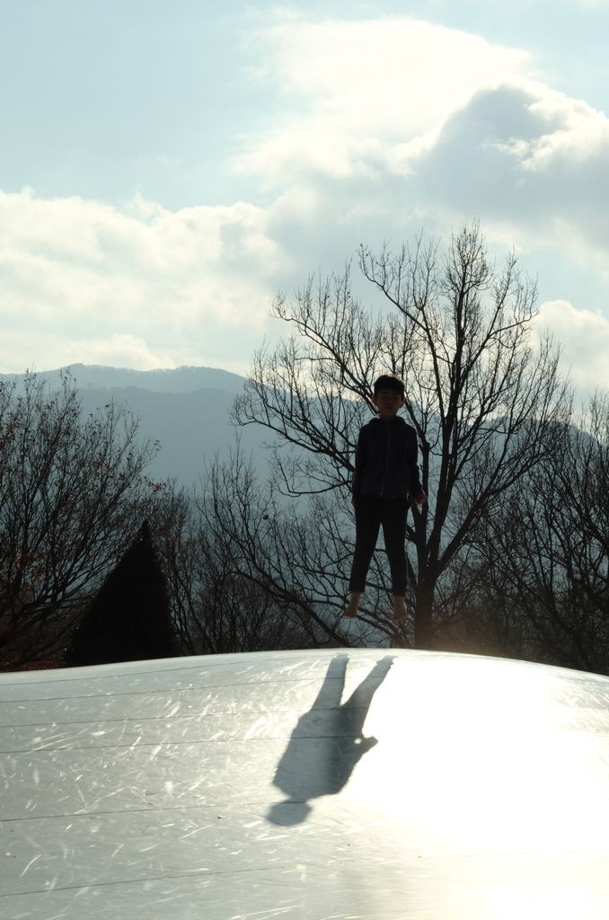 f:id:Aozora100:20190218210740j:plain f:id:Aozora100:20190218210740j:plain