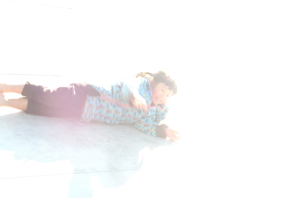f:id:Aozora100:20190218211124j:plain f:id:Aozora100:20190218211124j:plain