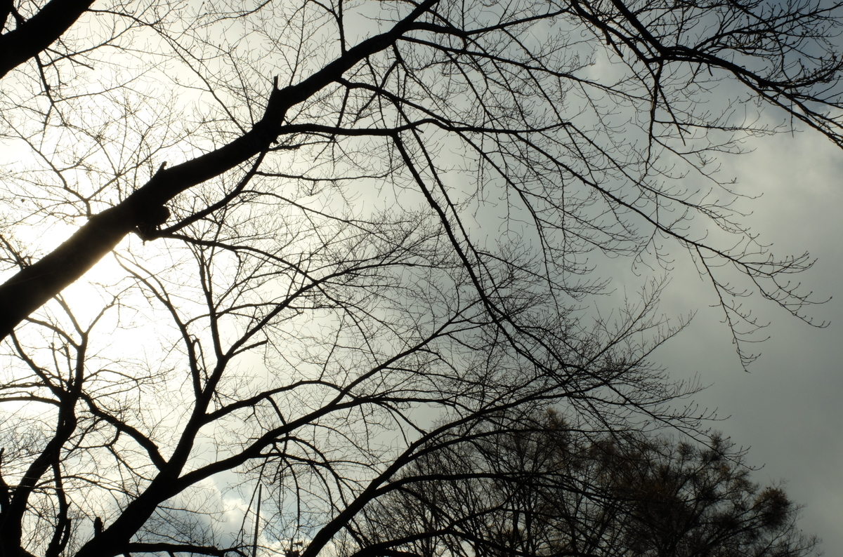 f:id:Aozora100:20190330213033j:plain f:id:Aozora100:20190330213033j:plain